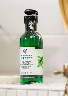 TEA_TREE_SKIN_CLEARING_FACIAL_WASH_250ML_4_INRSDPS092.webp